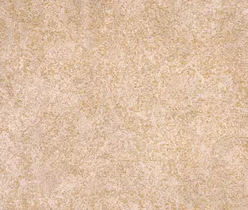 Sensitive Sahara